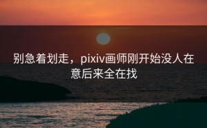 别急着划走，pixiv画师刚开始没人在意后来全在找