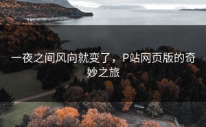 一夜之间风向就变了，P站网页版的奇妙之旅