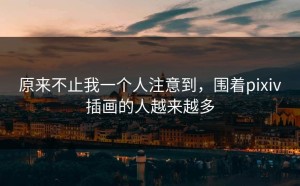 原来不止我一个人注意到，围着pixiv插画的人越来越多