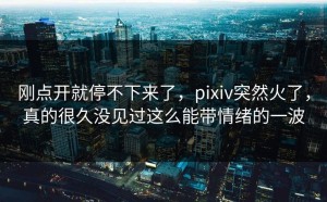 刚点开就停不下来了，pixiv突然火了，真的很久没见过这么能带情绪的一波