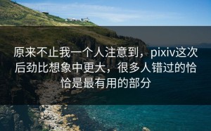 原来不止我一个人注意到，pixiv这次后劲比想象中更大，很多人错过的恰恰是最有用的部分