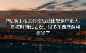 P站助手相关讨论后劲比想象中更大，一旦按时间线去看，很多东西就解释得通了