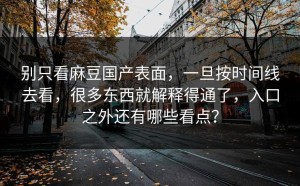 别只看麻豆国产表面，一旦按时间线去看，很多东西就解释得通了，入口之外还有哪些看点？