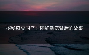 探秘麻豆国产：网红新宠背后的故事