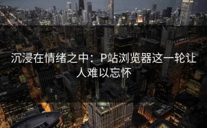 沉浸在情绪之中：P站浏览器这一轮让人难以忘怀