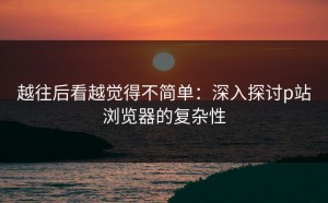 越往后看越觉得不简单：深入探讨p站浏览器的复杂性