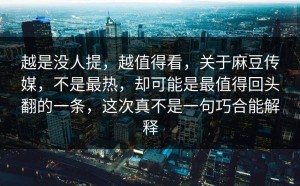 越是没人提，越值得看，关于麻豆传媒，不是最热，却可能是最值得回头翻的一条，这次真不是一句巧合能解释