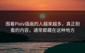 围着Pixiv插画的人越来越多，真正耐看的内容，通常都藏在这种地方