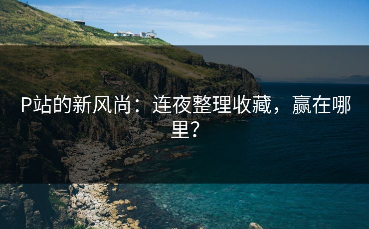 P站的新风尚：连夜整理收藏，赢在哪里？
