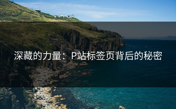 深藏的力量：P站标签页背后的秘密