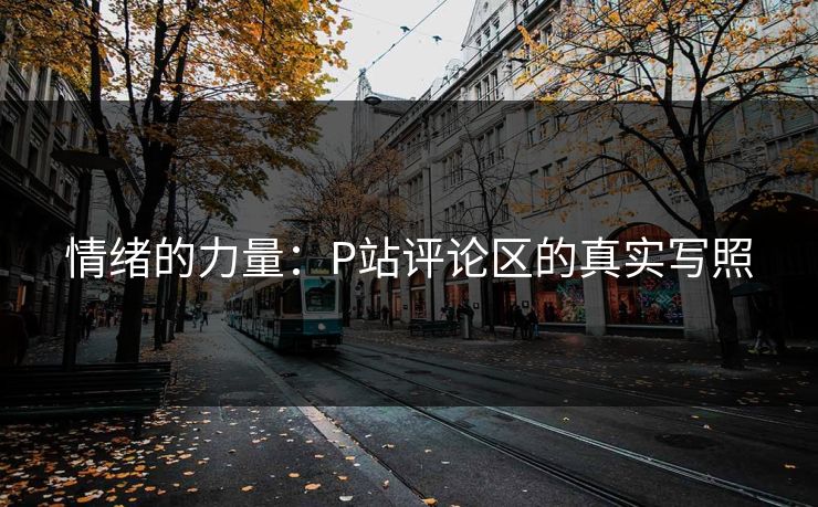 情绪的力量：P站评论区的真实写照